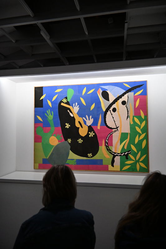 matisse grand palais peinture 1941 1954 oeuvres christelle lefresne (14)