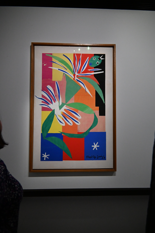 matisse grand palais peinture 1941 1954 oeuvres christelle lefresne (15)
