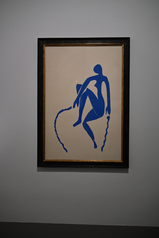 matisse grand palais peinture 1941 1954 oeuvres christelle lefresne (16)