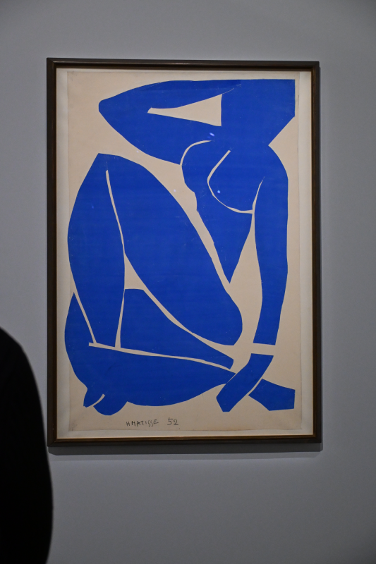 matisse grand palais peinture 1941 1954 oeuvres christelle lefresne (17)