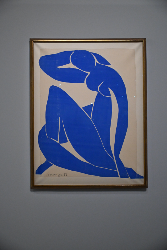 matisse grand palais peinture 1941 1954 oeuvres christelle lefresne (18)
