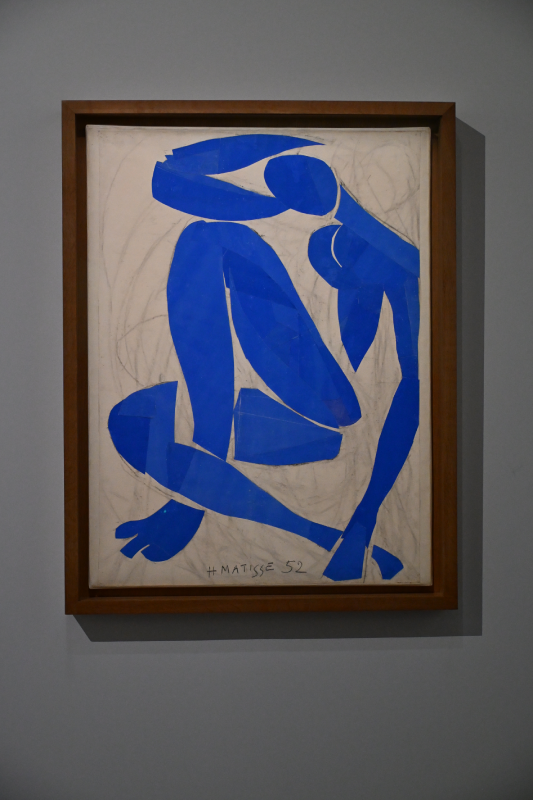 matisse grand palais peinture 1941 1954 oeuvres christelle lefresne (19)