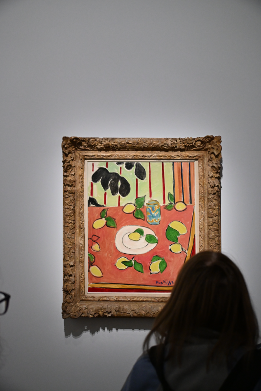 matisse grand palais peinture 1941 1954 oeuvres christelle lefresne (2)