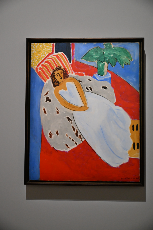 matisse grand palais peinture 1941 1954 oeuvres christelle lefresne (3)