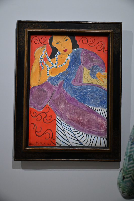 matisse grand palais peinture 1941 1954 oeuvres christelle lefresne (4)