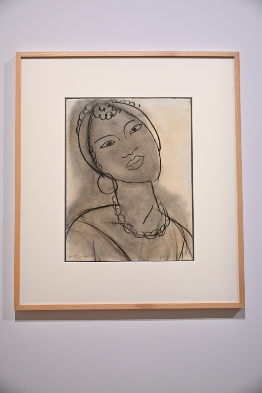 matisse grand palais peinture 1941 1954 oeuvres christelle lefresne (5)