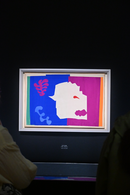 matisse grand palais peinture 1941 1954 oeuvres christelle lefresne (6)