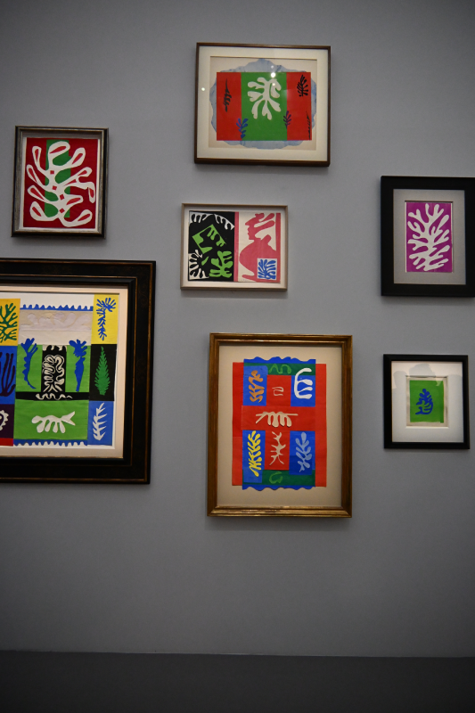matisse grand palais peinture 1941 1954 oeuvres christelle lefresne (7)