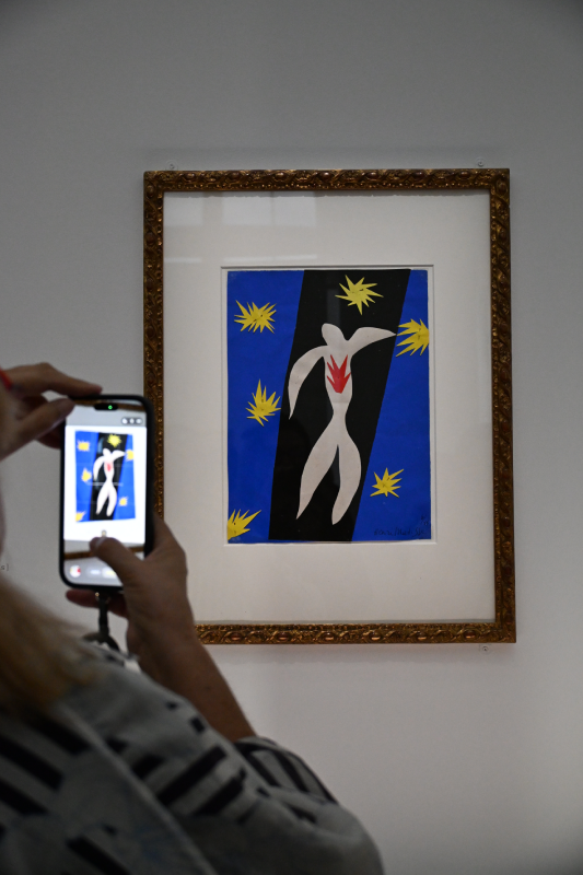 matisse grand palais peinture 1941 1954 oeuvres christelle lefresne (8)
