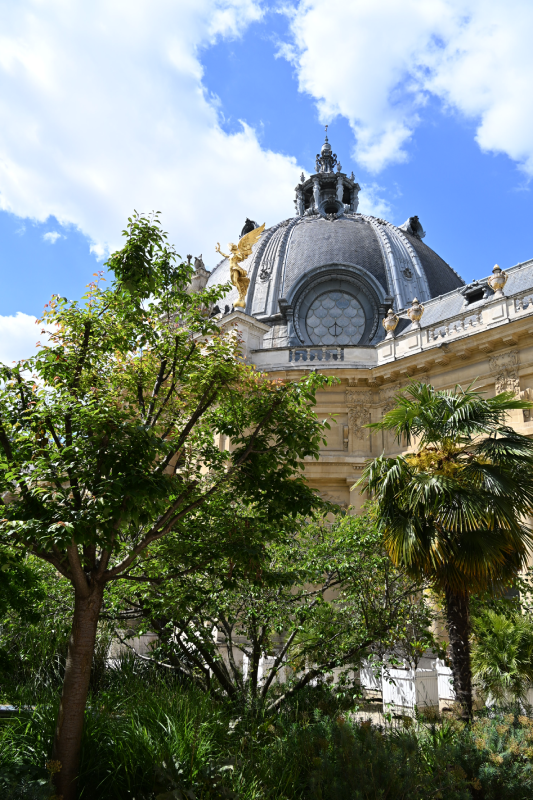 péristyle rénovation petit palais jardin architecture christelle lefresne (3)