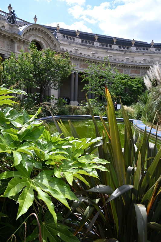 péristyle rénovation petit palais jardin architecture christelle lefresne (6)