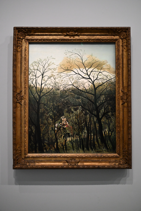 henri rousseau peinture musée de l'orangerie paris christelle lefresne (5)