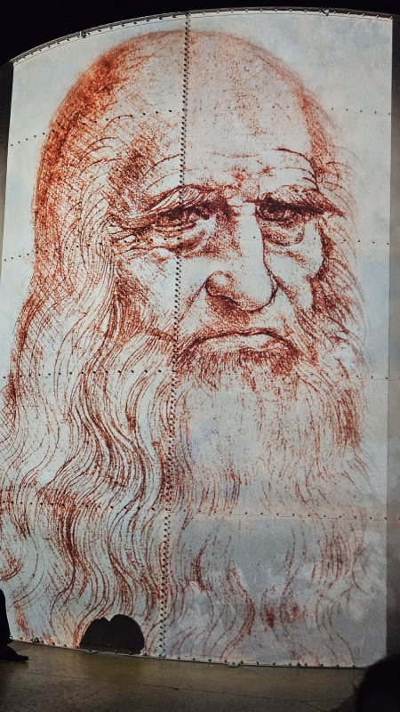 renaissance de vinci, raphaël, michel ange paris atelier des lumières oeuvres christelle lefresne (5)