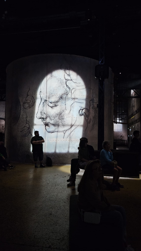 renaissance de vinci, raphaël, michel ange paris atelier des lumières oeuvres christelle lefresne (6)